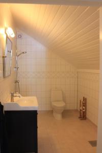 a bathroom with a sink and a toilet at Authentic Cabin On Private Islet In Oslo Fjord in Sætre