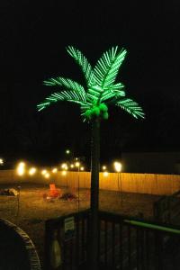 a palm tree with green lights on it at night at Lush Hideaway with HotTub & Pool 6 mins kings Island in Mason