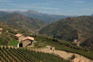 ドルチェアックアにあるStone Farmhouses Among Olives And Vinesの山を背景にした丘の上の住宅
