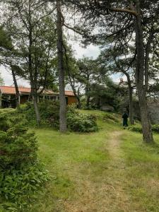 a person walking down a path in a field with trees at Family Cabin By The Sea With Private Pier in Ula +29 photos