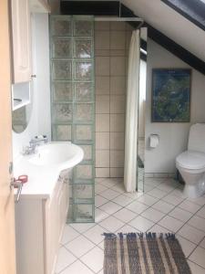 a bathroom with a sink and a toilet at Holiday Home With Sea Views Over The Western Sea in Vestervig