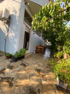 Zahrada ubytování Guesthouse SELI
