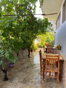 Zahrada ubytování Guesthouse SELI