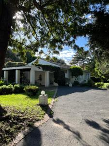 een wit huis met een boom en een oprit bij Cherry Lane Constantia in Kaapstad