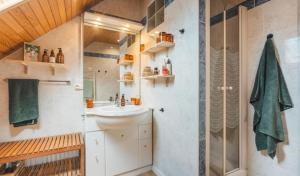 a bathroom with a sink and a shower at Chez Louise in Cauterets +15 photos