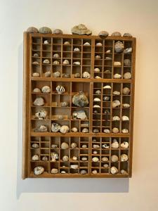 a display case filled with different types of shells at Modern Beach House At Skæring Beach in Egå