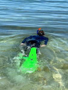 Paisaje cerca de esta casa o chalet