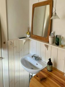 a bathroom with a sink and a mirror at Thatched Cottage Between Tisvilde And Liseleje in Frederiksværk