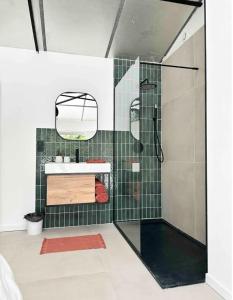 une salle de bain avec douche et lavabo dans l'établissement Peaceful Villa Between Sea And Pyrenees, à Perpignan