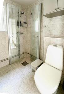 a bathroom with a white toilet and a shower at Cozy Spacious Cottage By Water And Nature in Brastad