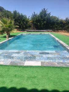 ein Swimmingpool in einem Hof mit grünem Gras in der Unterkunft Villa climatisée avec grande piscine in Le Pouget