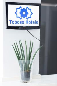 a plant in a vase in front of a television at Hotel Toboso Chaparil in Nerja