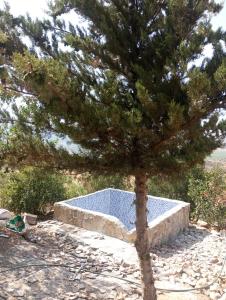 Foto dalla galleria di Farm Stay Mharchen a Chefchaouen