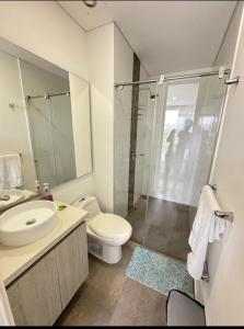 Estación El SaltoにあるHermoso Apartamentoのトイレ、洗面台、シャワー付きのバスルーム