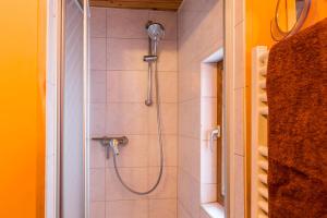 una ducha con cabezal de ducha en un baño en Ferienwohnung Faden, en Constanza 17 fotos más