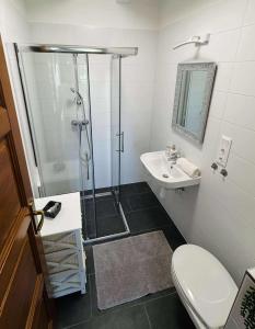 a bathroom with a shower and a toilet and a sink at Lator-Hans Apartmanház in Villány +18 photos