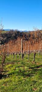 Gallery image of Brunnsteffl - Ferienhaus Lindner in Sankt Andrä-Höch