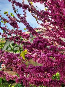Gallery image of Brunnsteffl - Ferienhaus Lindner in Sankt Andrä-Höch