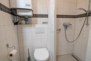 a bathroom with a toilet and a shower at Haus Finkwarder 4 in Westerdeichstrich +13 photos