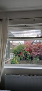 a window with a view of a garden with flowers at Eltham Gem in Eltham +2 photos