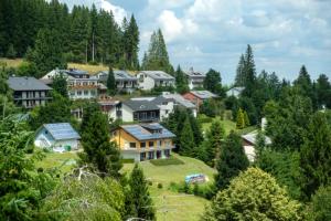 eine Gruppe von Häusern auf einem Hügel mit Bäumen in der Unterkunft Gästehaus Himmelswiese Ingo Reetz in Schönwald