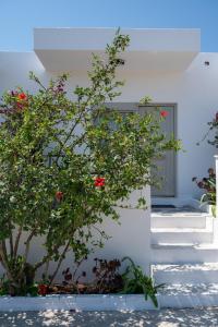 a plant with red flowers next to a staircase at Thines Studios - Studio B in Kefalos