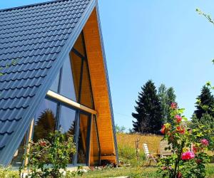 TarčinZenFrame Cabin的金属屋顶和窗户的房子