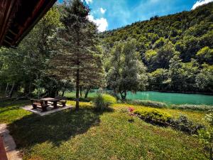 a picnic table in a park next to a lake at Casa Kolpa in Dragatuš