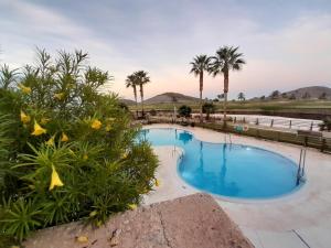 una piscina con palmeras al fondo en Apartamento de 2 habitaciones con jardín y piscina comunitaria cerca de la playa en Pulpi - ES-376-24, en Pulpí