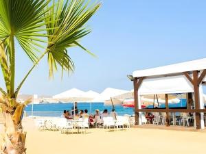 una spiaggia con una palma e persone sedute sulla spiaggia di Apartamento acogedor con piscina común en San Juan de los Terreros, cerca de la playa - ES-376-13 a Pulpí