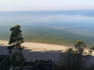 Przyroda w pobliżu tego domu wakacyjnego