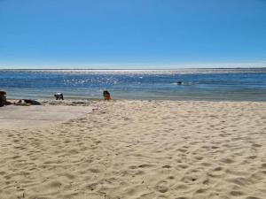 Plaża w domu wakacyjnym lub w pobliżu