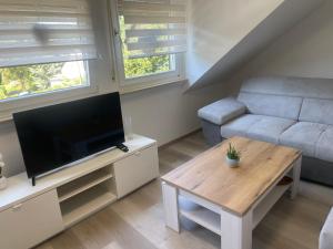 a living room with a television and a couch at Holunder nah am Waldsee 3 in Rieden