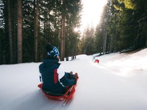 Appartement skis aux pieds, 6 pers, 2 pièces cabine, balcon, La Tania - FR-1-182A-7 v zime