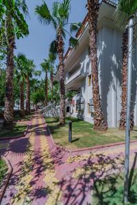 フェティエにあるDream of Oludeniz Hotel -All inclusiveの椰子並木道 +132枚の写真