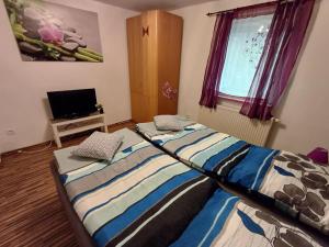 a bedroom with two beds and a tv at Ferienwohnung zum Finkenbachtal in Oberzent