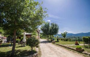 Gallery image of Bed and Breakfast Agriturismo La Palombara 