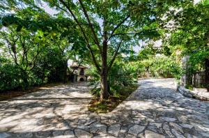 Fotografia z galérie ubytovania Studio in Crikvenica II v destinácii Crikvenica + 1 fotografia