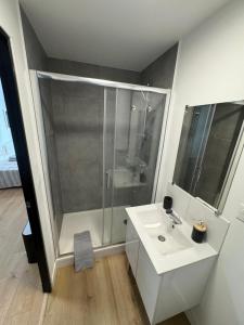 a bathroom with a shower and a white sink at Logement 7 parking gratuit in Poitiers +9 photos