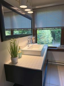 ラック・シュペリュールにあるChalet Inukshuk Luxury Log Cabin with Spa Lake View and Club Access near Mont Tremblantの洗面台と窓のあるバスルーム