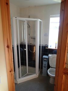 a bathroom with a shower and a toilet at Lough Gara Lodge Self Catering in Gorteen