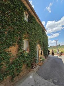 a building covered in ivy with a house at A casa di Sonia in Cerreto Guidi