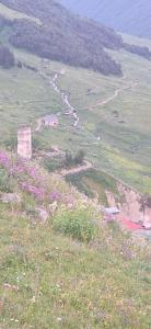 AdishiGuest house River side的相册照片