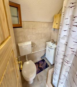 a small bathroom with a toilet and a shower curtain at Etno Niko in Žabljak +3 photos