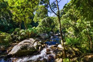 a stream in a forest with rocks and trees at VELINN Pousada Bromelias in Ilhabela