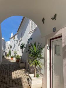 an archway with a potted plant next to a building at Casa Tapada do Bento II- Albufeira in Albufeira