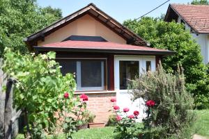 Una pequeña casa con rosas rojas en el patio. en Mate, en Banja Koviljača