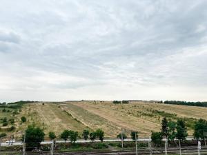 an open field with trees on a hill at Skystay-modern Airport Apartment in Cluj-Napoca