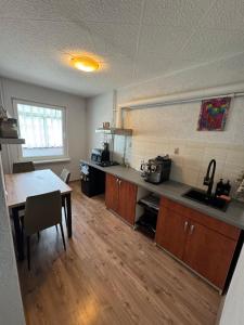 Kuchyň nebo kuchyňský kout v ubytování D-Land Apartment
