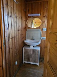un bagno con lavandino e specchio di Les Petites Cabanes de Machiel a Machiel Altre 12 foto